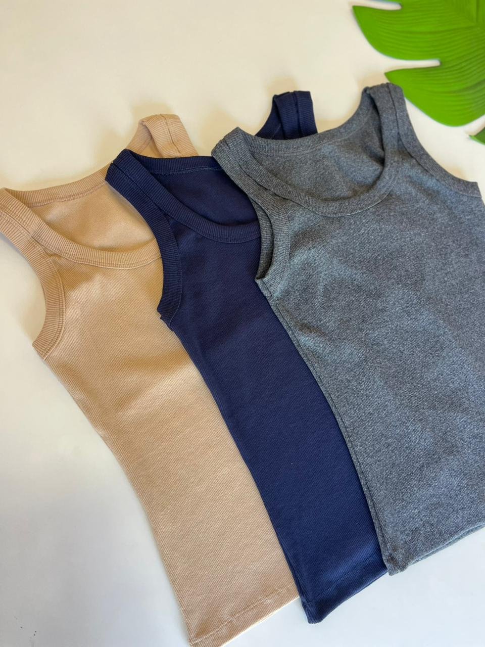 WhatsApp Image 2026-01-22 at 11.11.46